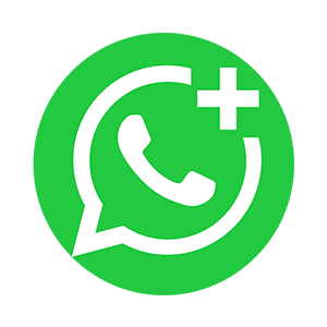 whatsapp business